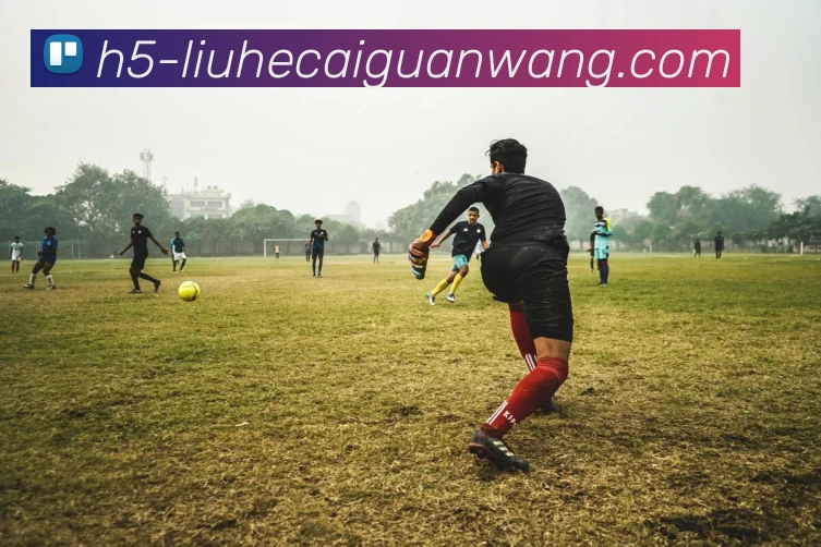 六合彩官网平台生态图