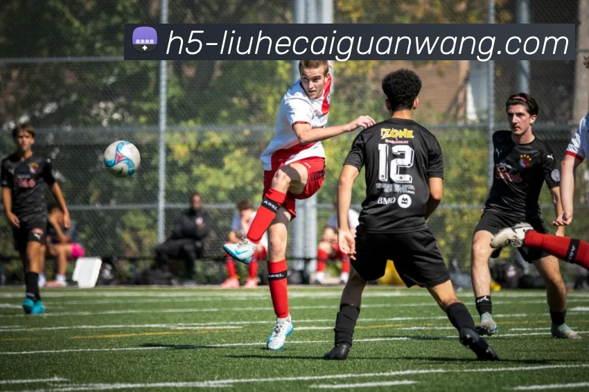 六合彩官网全站App